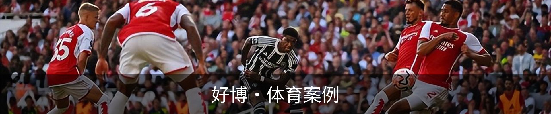 好博·体育案例